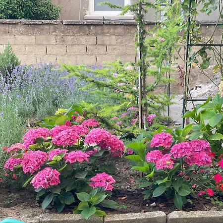 Apartament Nearby The Sea- Elegant Retreat In Warna