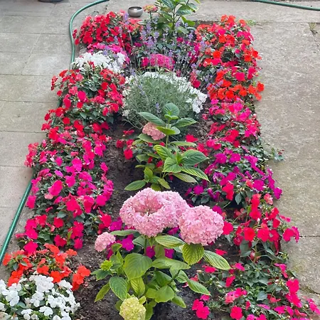 公寓 Nearby The Sea- Elegant Retreat In 瓦爾納