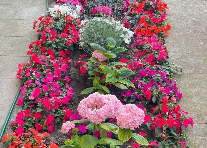 דירה Nearby The Sea- Elegant Retreat In וארנה